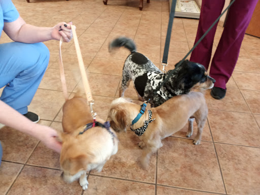 Animal Hospital of Celina