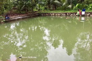 Chirakkara Devi Temple Pond image