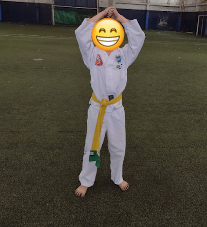 Taekwondo Chul Hak San