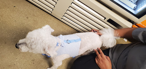 Pet Supply Store «PetSmart», reviews and photos, 271 New Rd, Somers Point, NJ 08244, USA