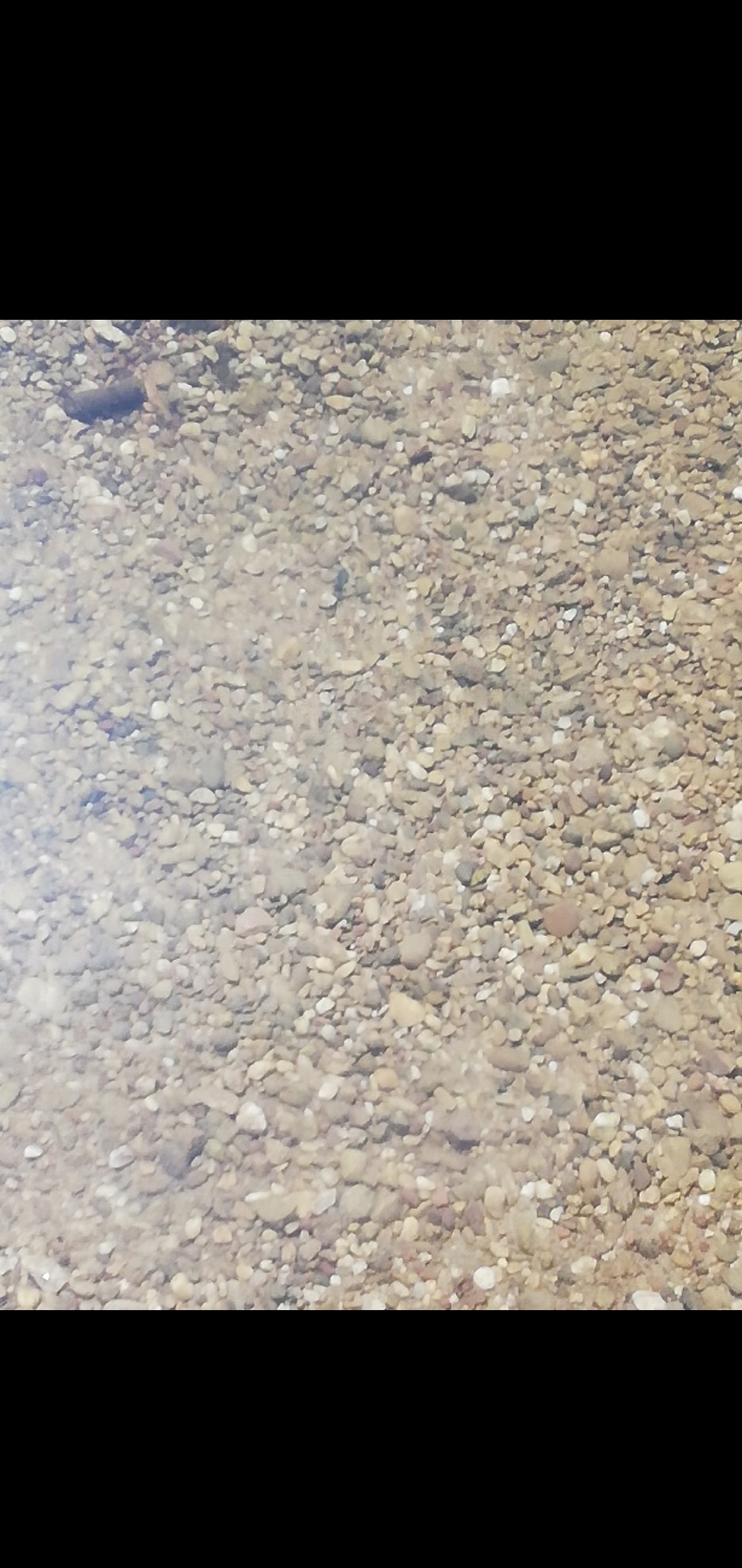 Photo n° 2 de l'avis de Audrey.h fait le 16/07/2019 à 20:33