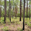 Joe Budd Wildlife Management Area