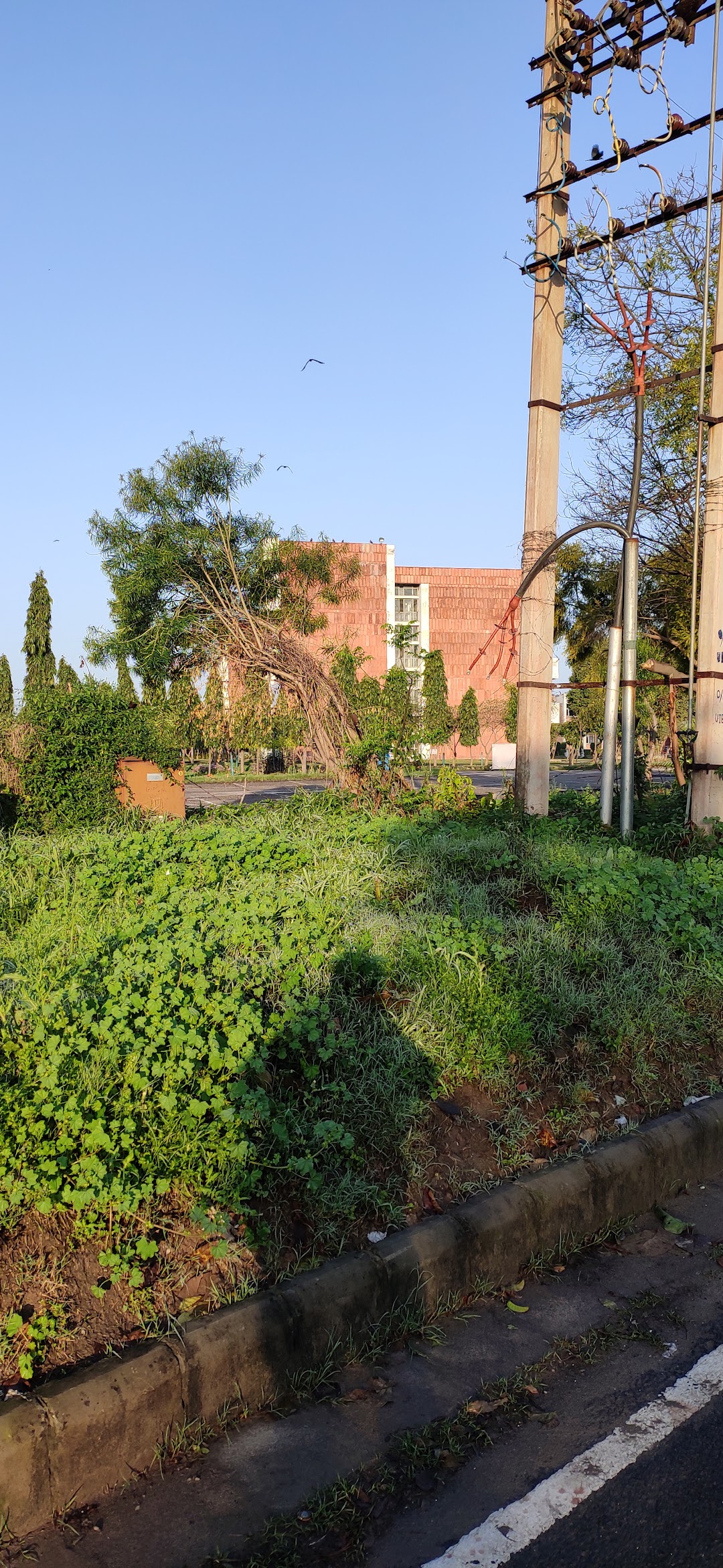 Panjab University South Campus