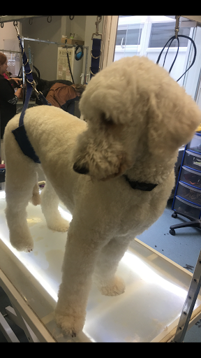 Nana’s dog grooming
