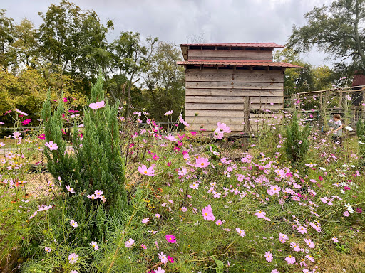 Farm «Pettit Creek Farms», reviews and photos, 337 Cassville Rd, Cartersville, GA 30120, USA