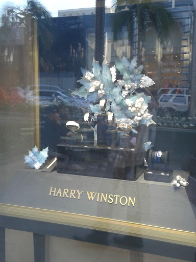 Jewelry Store «Harry Winston», reviews and photos, 310 N Rodeo Dr, Beverly Hills, CA 90210, USA