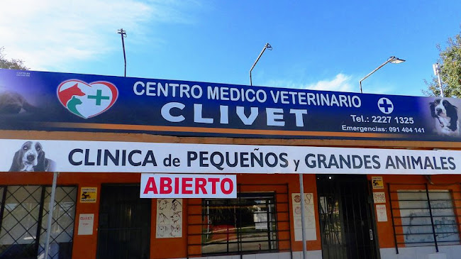 Centro Veterinario CLIVET