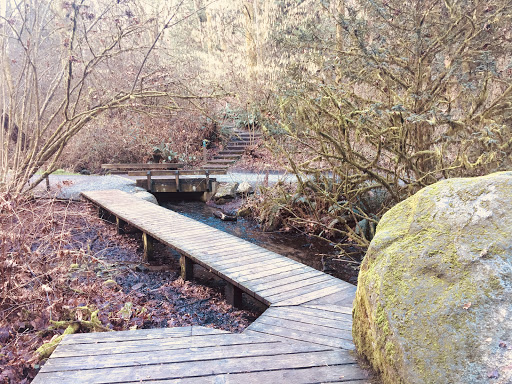 Park «Ravenna Park», reviews and photos, 5520 Ravenna Ave NE, Seattle, WA 98105, USA