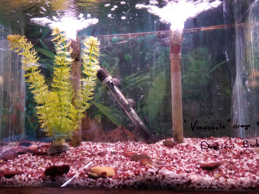 Pet Supply Store «All About Pets», reviews and photos, 9285 Cincinnati Columbus Rd, West Chester Township, OH 45069, USA