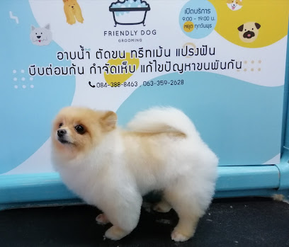 Friendly​ Dog​ Grooming อาบน้ำตัดขนสุนัขดอนเมือง