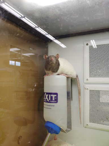 Pet Supply Store «Petco Animal Supplies», reviews and photos, 22000 Dulles Retail Plaza #110, Sterling, VA 20166, USA