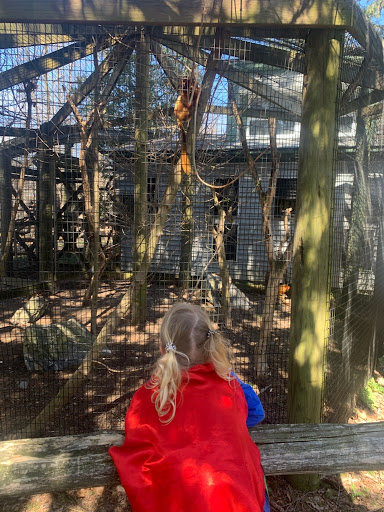 Zoo «Trevor Zoo at Millbrook School», reviews and photos, 282 Millbrook School Rd, Millbrook, NY 12545, USA