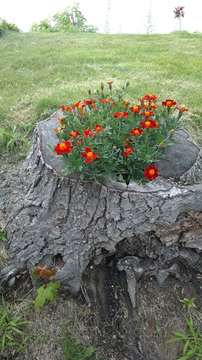 Amusement Park «Seabreeze Amusement Park», reviews and photos, 4600 Culver Rd, Rochester, NY 14622, USA