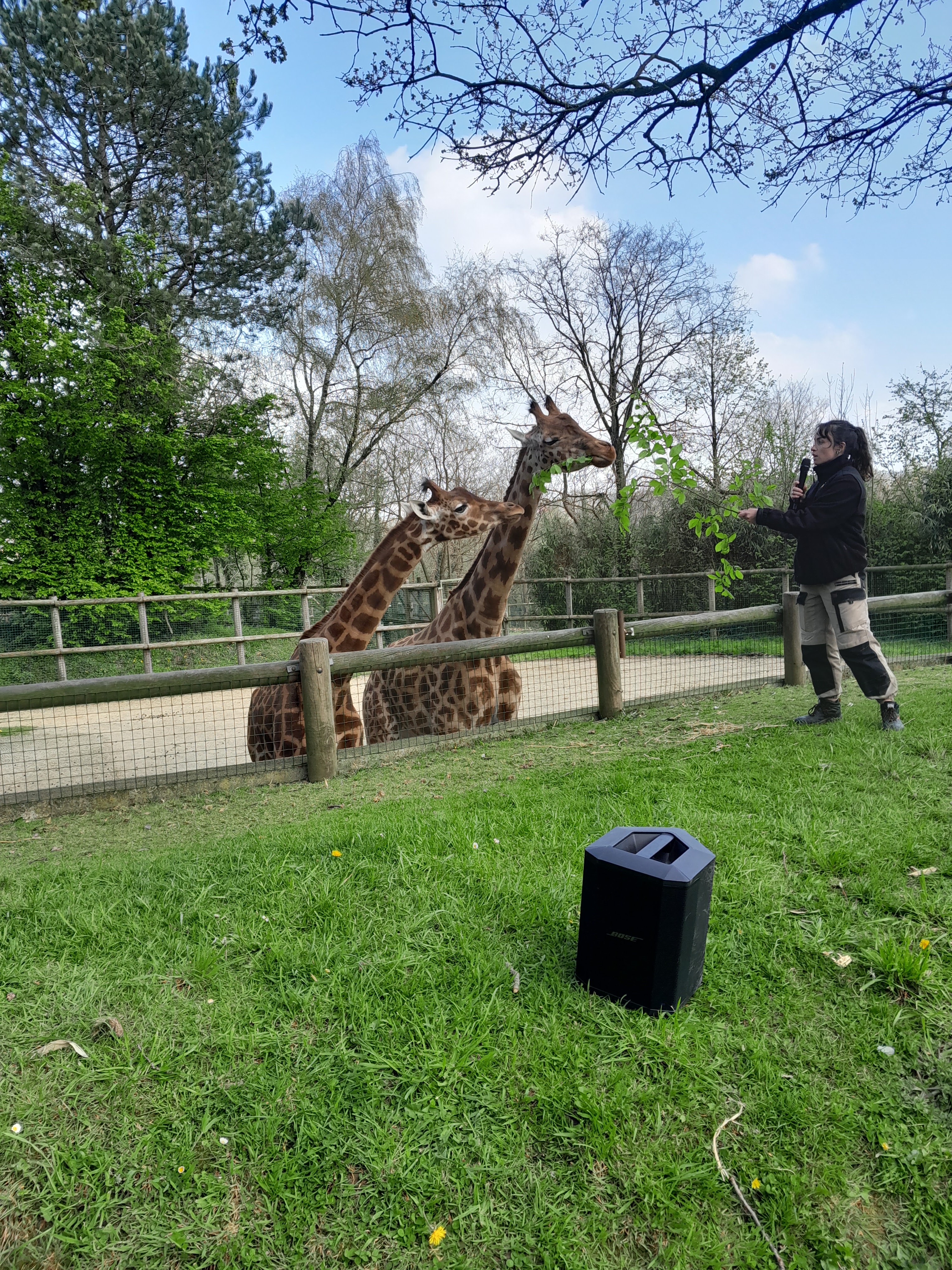 Photo n° 5 de l'avis de Ophelie.a fait le 18/04/2023 à 22:01