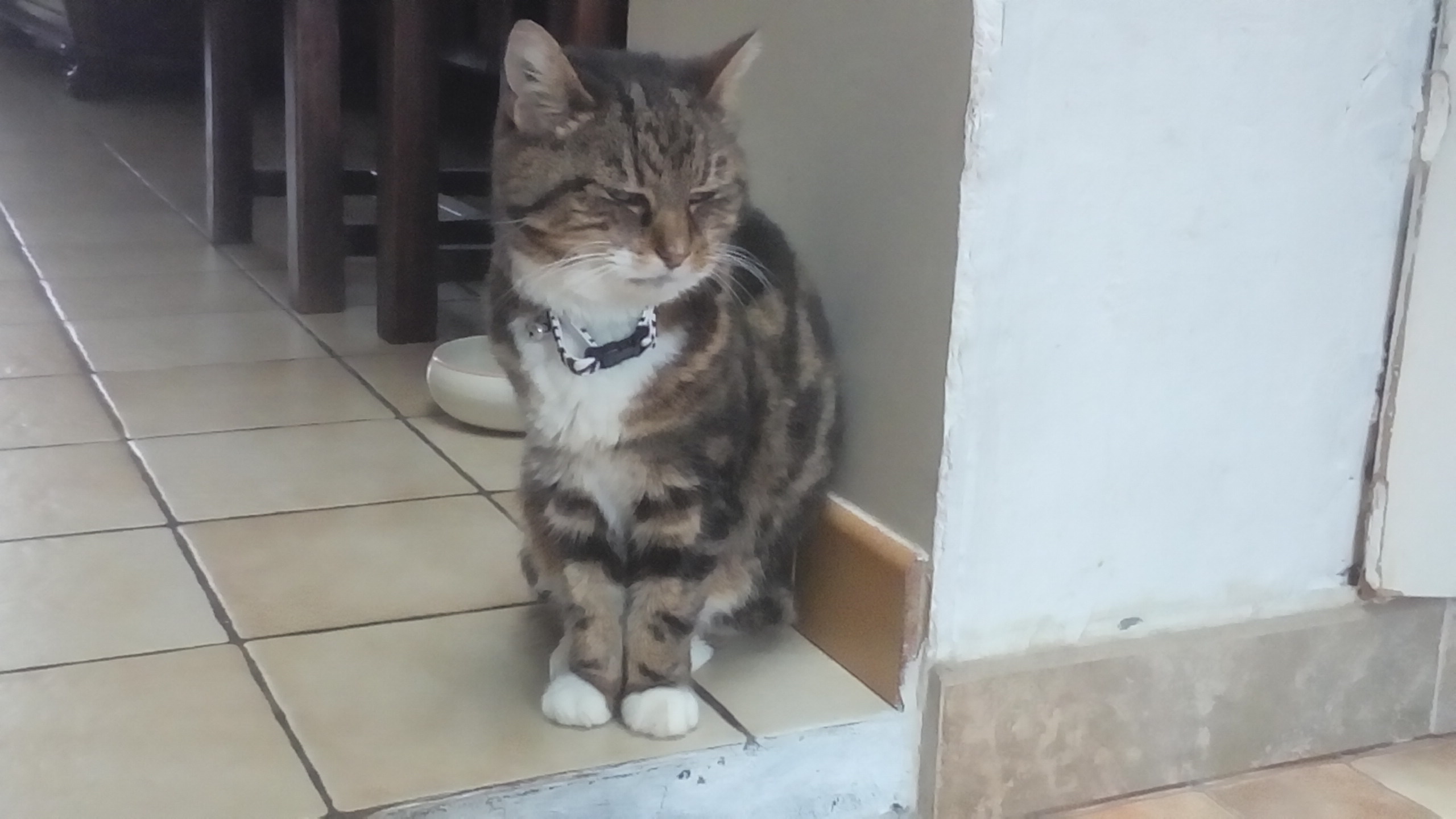 Photo n° 1 de l'avis de O'pat.' fait le 08/11/2019 à 13:10
