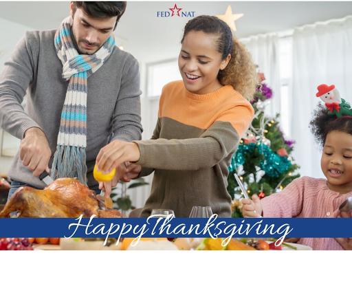 Insurance Agency «FedNat», reviews and photos