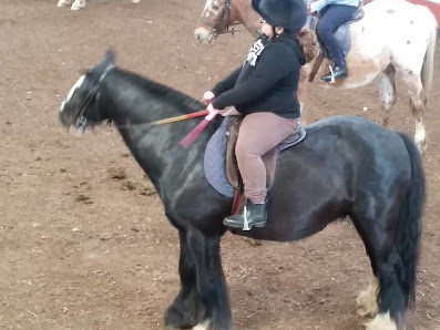 Seaview Riding School 25 Biggar Village, Walney, Barrow-in-Furness LA14 3YG, United Kingdom