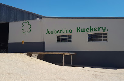 Joubertina Kwekery (Nursery)