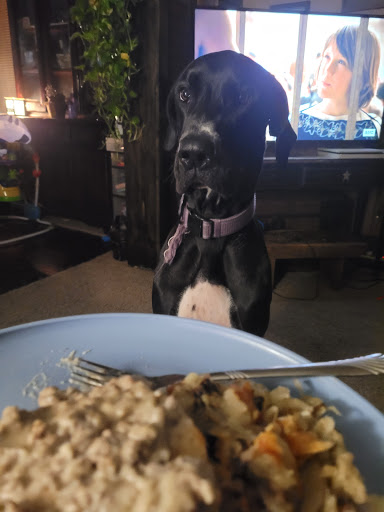 Thrift Store «Goodwill Store & Donation Center», reviews and photos