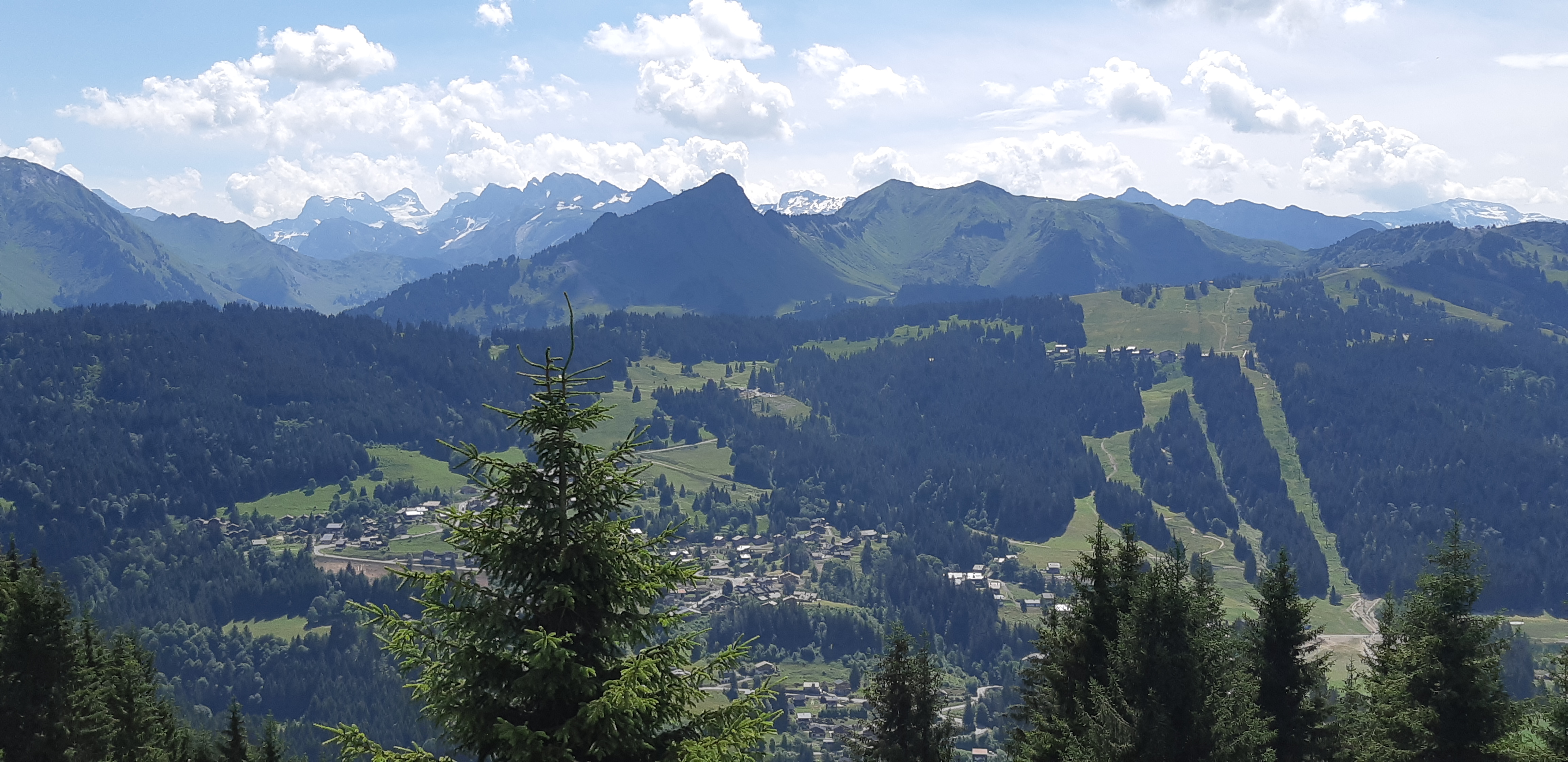 Photo n° 13 de l'avis de Joelle.e fait le 20/07/2018 à 19:26