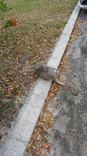 Golf Course «Sanlan Golf Course», reviews and photos, 2505 Sanlan Golf Dr, Lakeland, FL 33812, USA