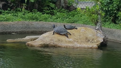 Tourist Attraction «IMAG History & Science Center (formerly Imaginarium Science Center)», reviews and photos, 2000 Cranford Ave, Fort Myers, FL 33916, USA