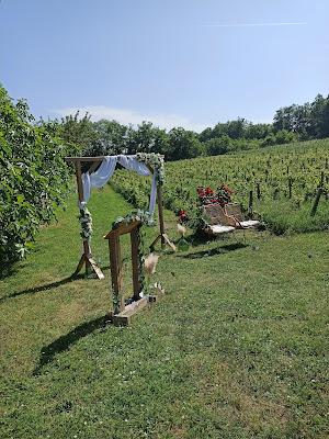 Domaine Albert à Pommiers