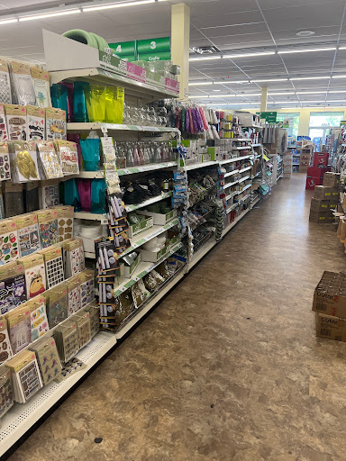 Dollar Store «Dollar Tree», reviews and photos, 8491 Grand River Ave, Brighton, MI 48116, USA