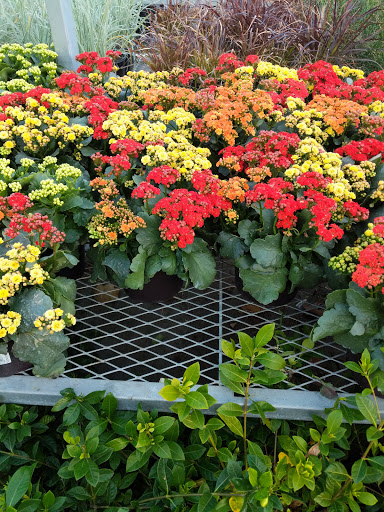 Home Improvement Store «The Home Depot», reviews and photos, 24332 El Toro Rd, Laguna Hills, CA 92653, USA