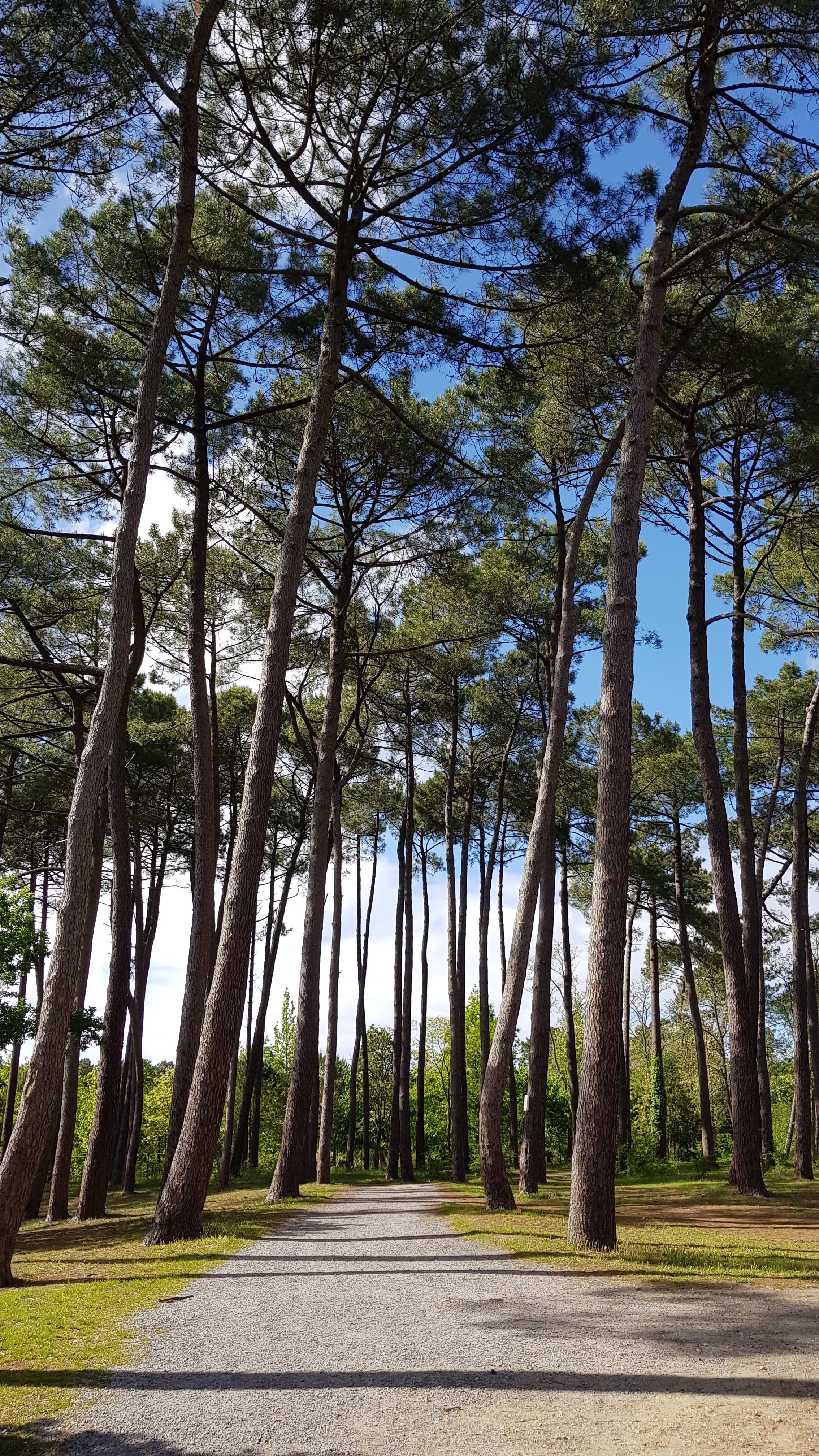 Photo n° 2 de l'avis de Mario.o fait le 11/05/2019 à 17:45