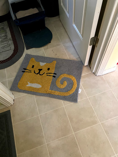 House Cleaning Service «Molly Maid of Greater Vancouver», reviews and photos, 2515 E Evergreen Blvd, Vancouver, WA 98661, USA