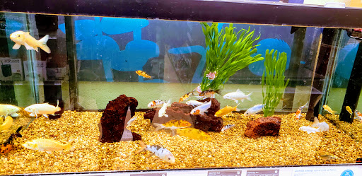 Pet Supply Store «Petco Animal Supplies», reviews and photos, 7434 Little River Turnpike, Annandale, VA 22003, USA