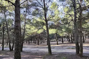 Parque del Humedal image