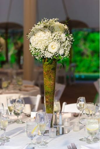 Florist «The Potting Bench», reviews and photos, 494 Quincy Ave, Braintree, MA 02184, USA