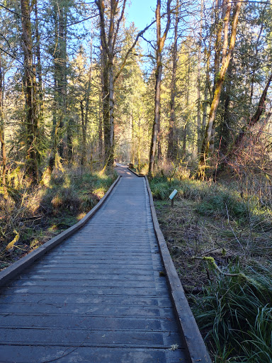 Nature Preserve «Beaverton Creek Wetlands Natural Area», reviews and photos, SW 153rd Dr, Beaverton, OR 97006, USA