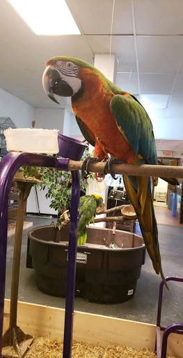 Pet Store «Off The Hook Exotics Pet Shop», reviews and photos, 926 5th Ave, Coraopolis, PA 15108, USA