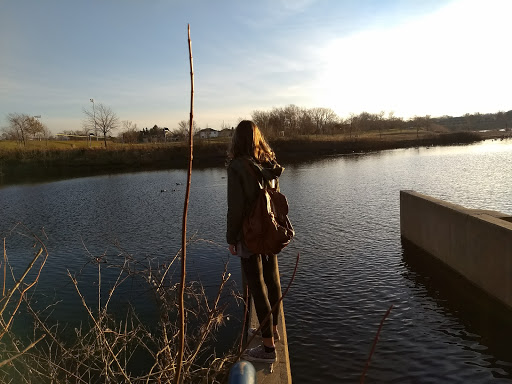 Ice Skating Rink «The Edge Ice Arena», reviews and photos, 735 E Jefferson St, Bensenville, IL 60106, USA
