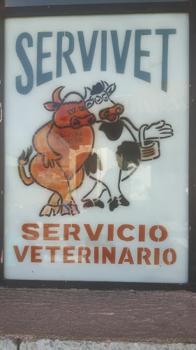 Opiniones de SERVIVET "Servicios Veterinarios" en Salcedo - Médico