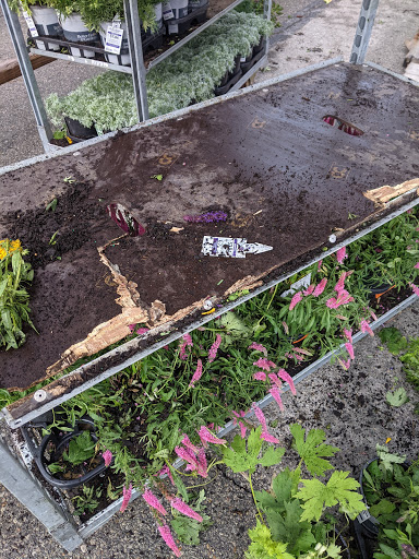 Department Store «Walmart Supercenter», reviews and photos, 300 Iowa Speedway Dr, Newton, IA 50208, USA