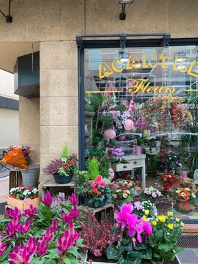 Acanthe Fleurs à Millau