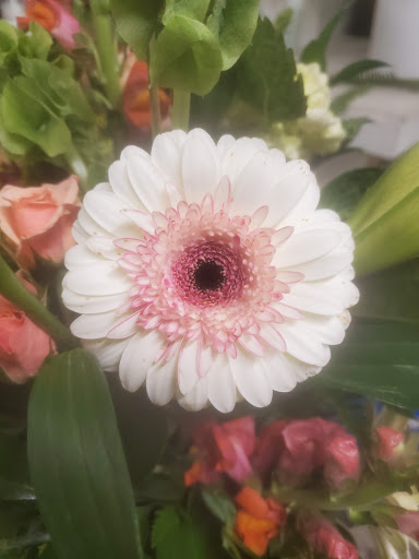 Florist «Mayfield Florist», reviews and photos, 1610 N Tucson Blvd, Tucson, AZ 85716, USA