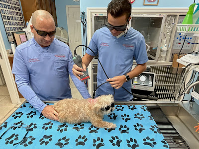 I cannot express enough how grateful I am for Dr. Christian Perales and the entire team at West Miami Animal Hospital. Dr