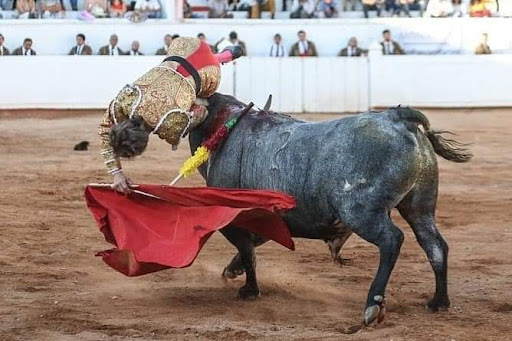 Attorney «Law Office of Francisco Hernandez», reviews and photos