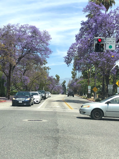 Discount Store «99 Cents Only Stores», reviews and photos, 2810 Alhambra Rd, Alhambra, CA 91801, USA