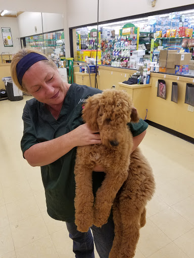 Pet Supply Store «Pet Supplies Plus», reviews and photos, 5229 Library Rd, Bethel Park, PA 15102, USA