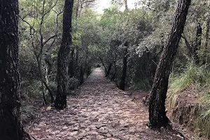 Camí del Correu image