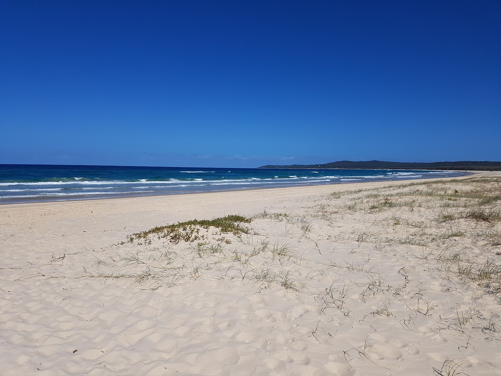 Minjerribah Camping Beach的照片 带有明亮的细沙表面