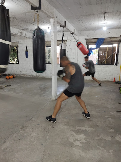 BOXEO SERGIO GALLARDO