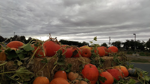 Produce Market «Clements Ridge Produce», reviews and photos, 23225 CA-88, Clements, CA 95227, USA