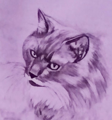 Explore lion and lamb tattoo ideas, creative tattoo ideas in Erie, available at EliKingInk